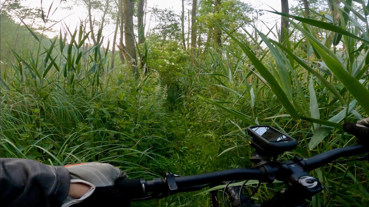 MTB Stryków Łódź