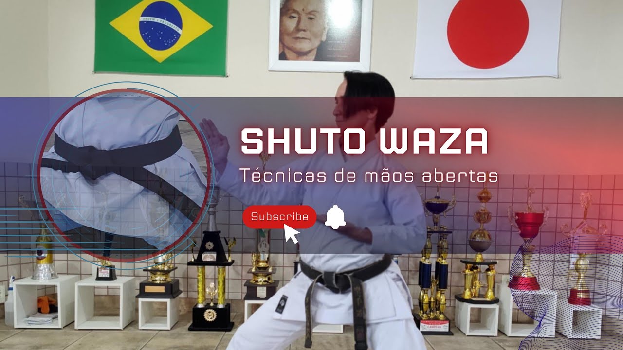 SHUTO WAZA OU KAISHO WAZA: Técnicas de mãos abertas 🥋