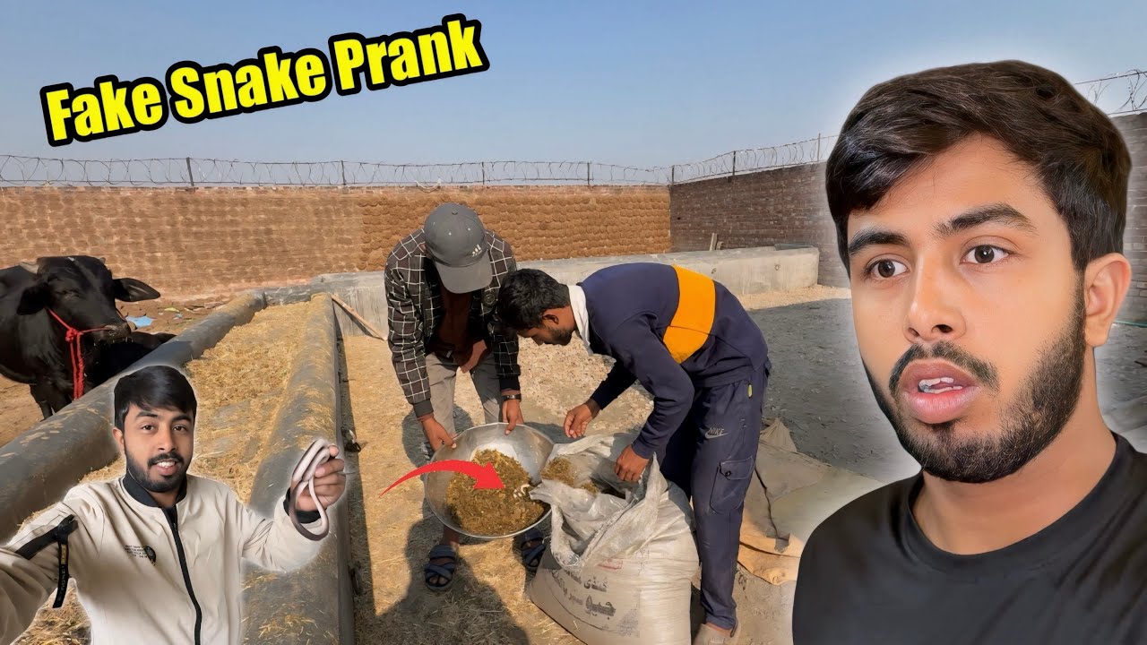 Fake Snake Prank 😱 Hamare Ghar Geyser Be Laag Gaya⚡️Just Entertainment Video | Solar Geyser Video