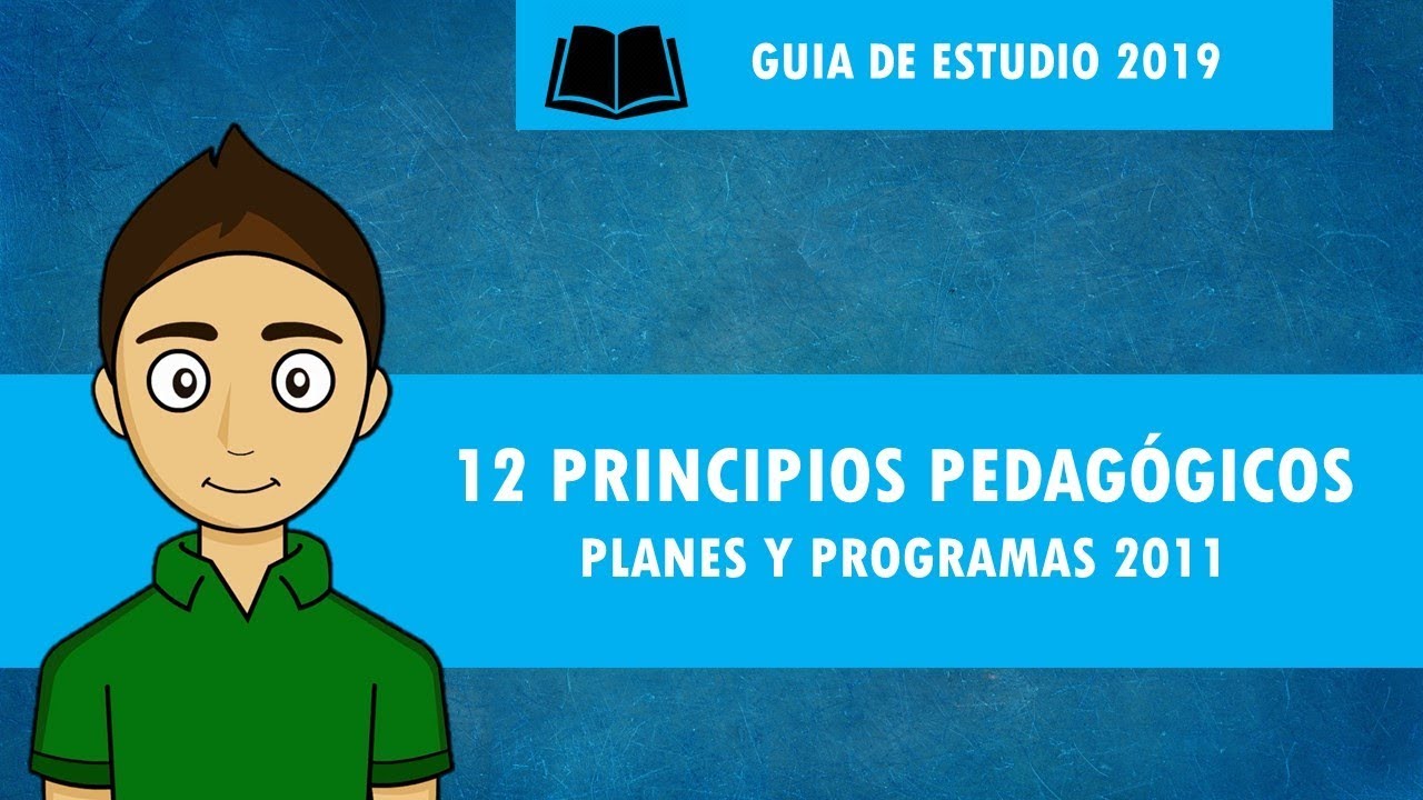 12 PRINCIPIOS PEDAGÓGICOS planes y programas 2011