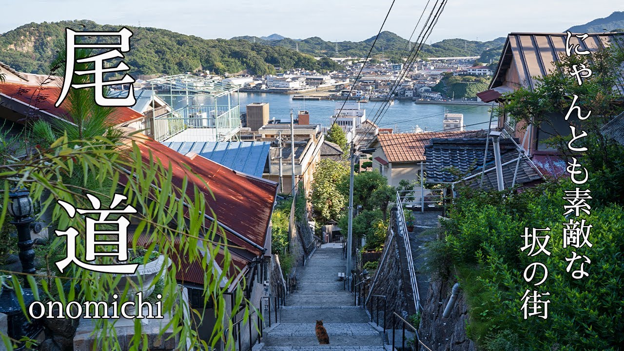 【尾道】坂多め、猫多め、癒し超多め。登れば絶景、猫と休憩な尾道旅