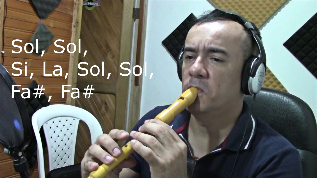 Pequeña Serenata Nocturna - Mozart - Fragmento - Tutorial Flauta.