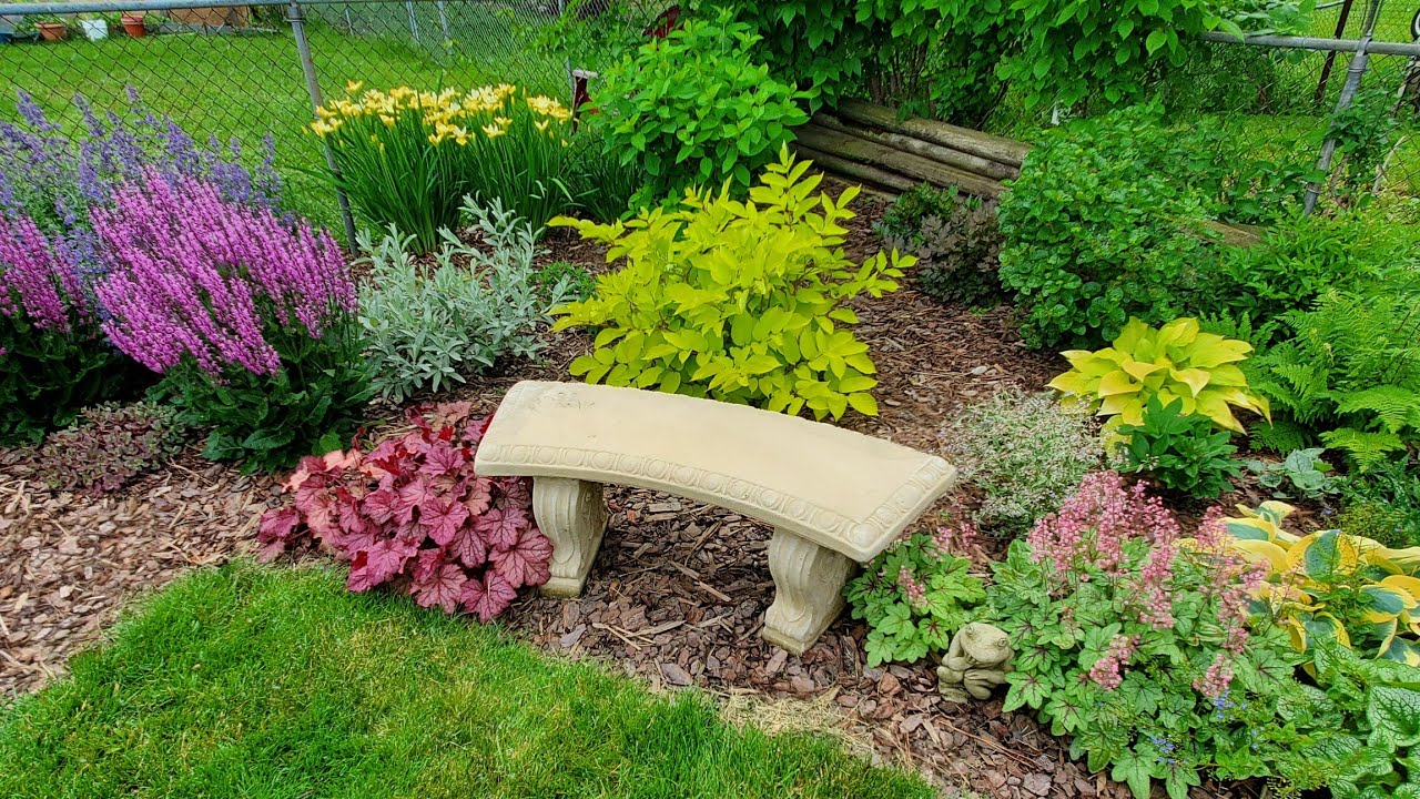 Early June Garden Tour, New Blooms Opening, Minnesota Zone 5a
