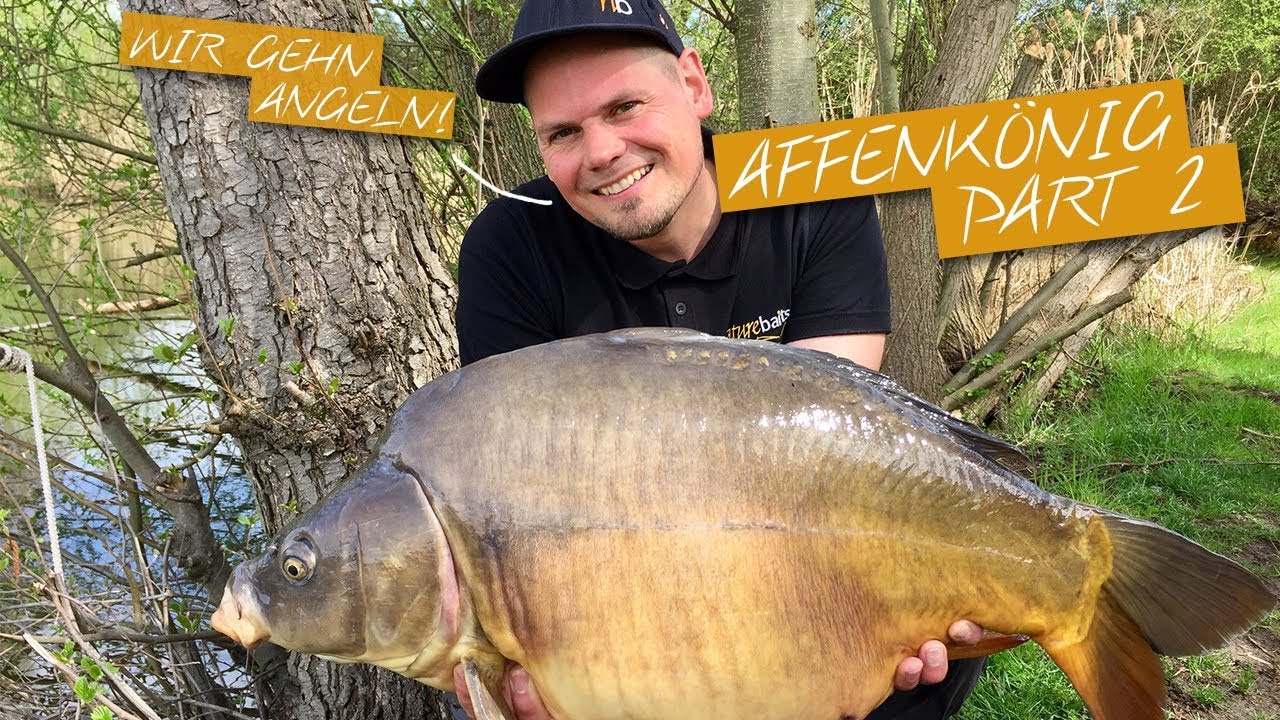 Der Boilietest | Karpfen fangen mit neuen Boilies