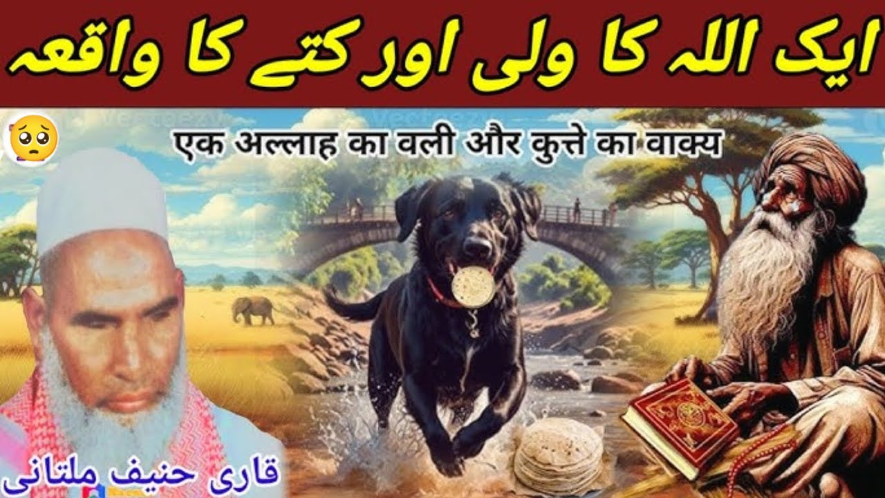Allah ka wali aur ek kutta 😱😱😱 Qari Haneef multani ka bayan 😱❤️ Siraj Ansari