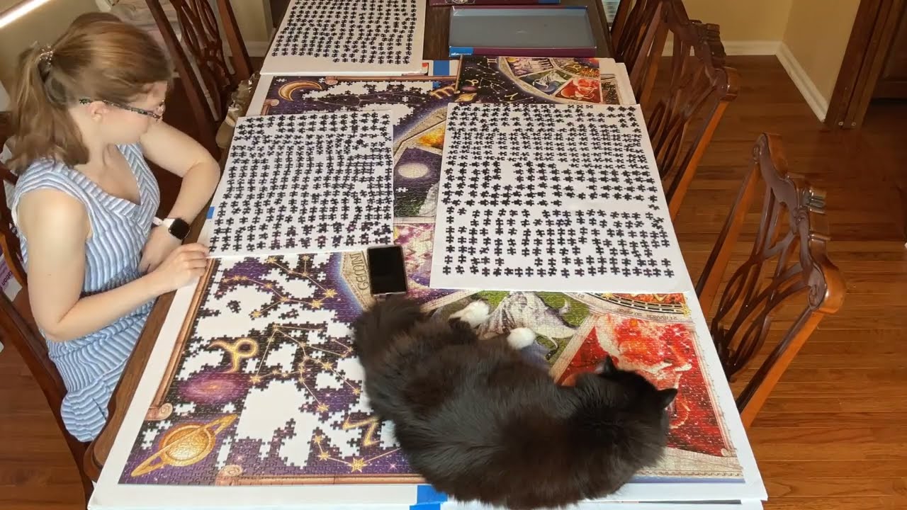 Ravensburger Astrology 9000 Piece Puzzle Part 5 (THE END)