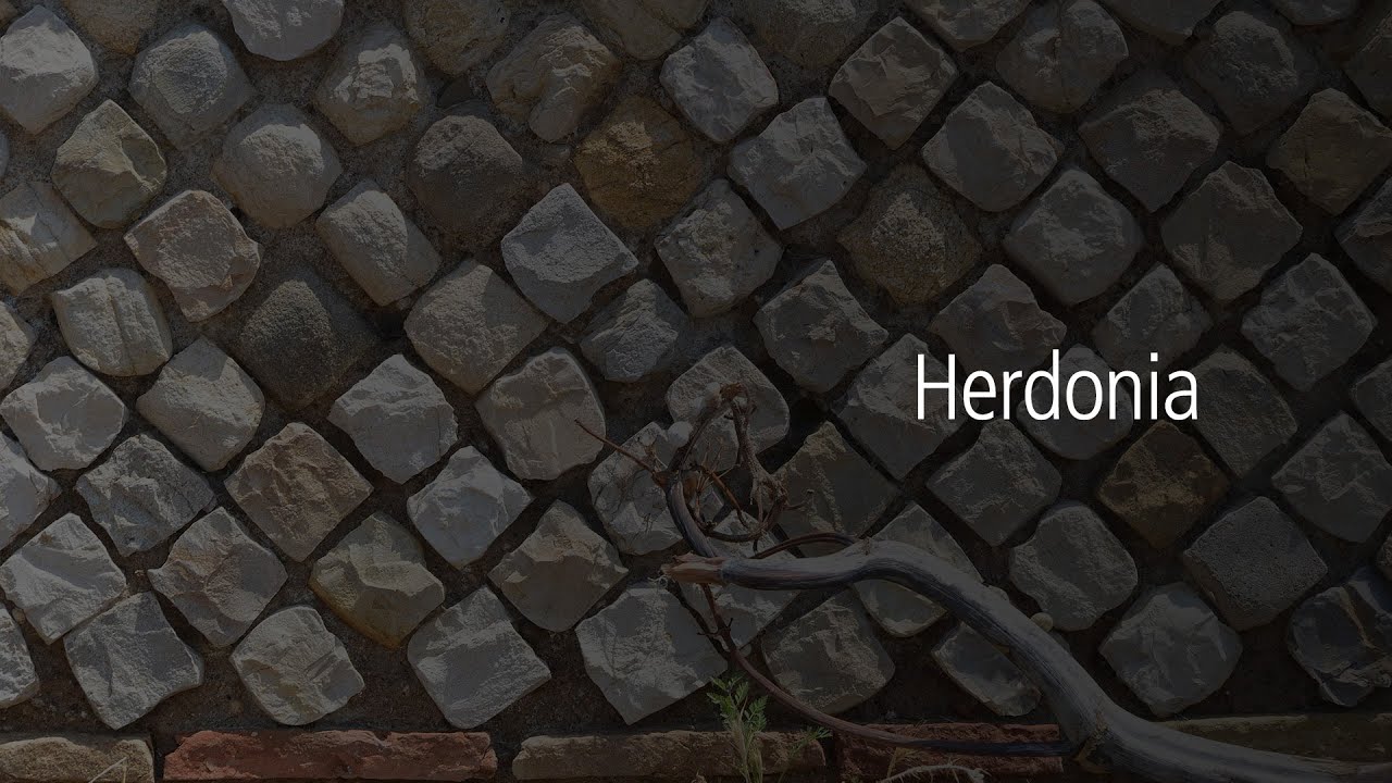 HERDONIA