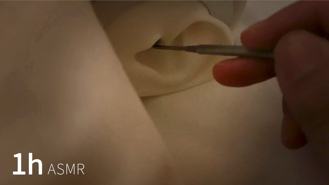 [1 Hour ASMR] Ear Cleaning with Stainless Earpick 2 Type(Earhole) | No talking
