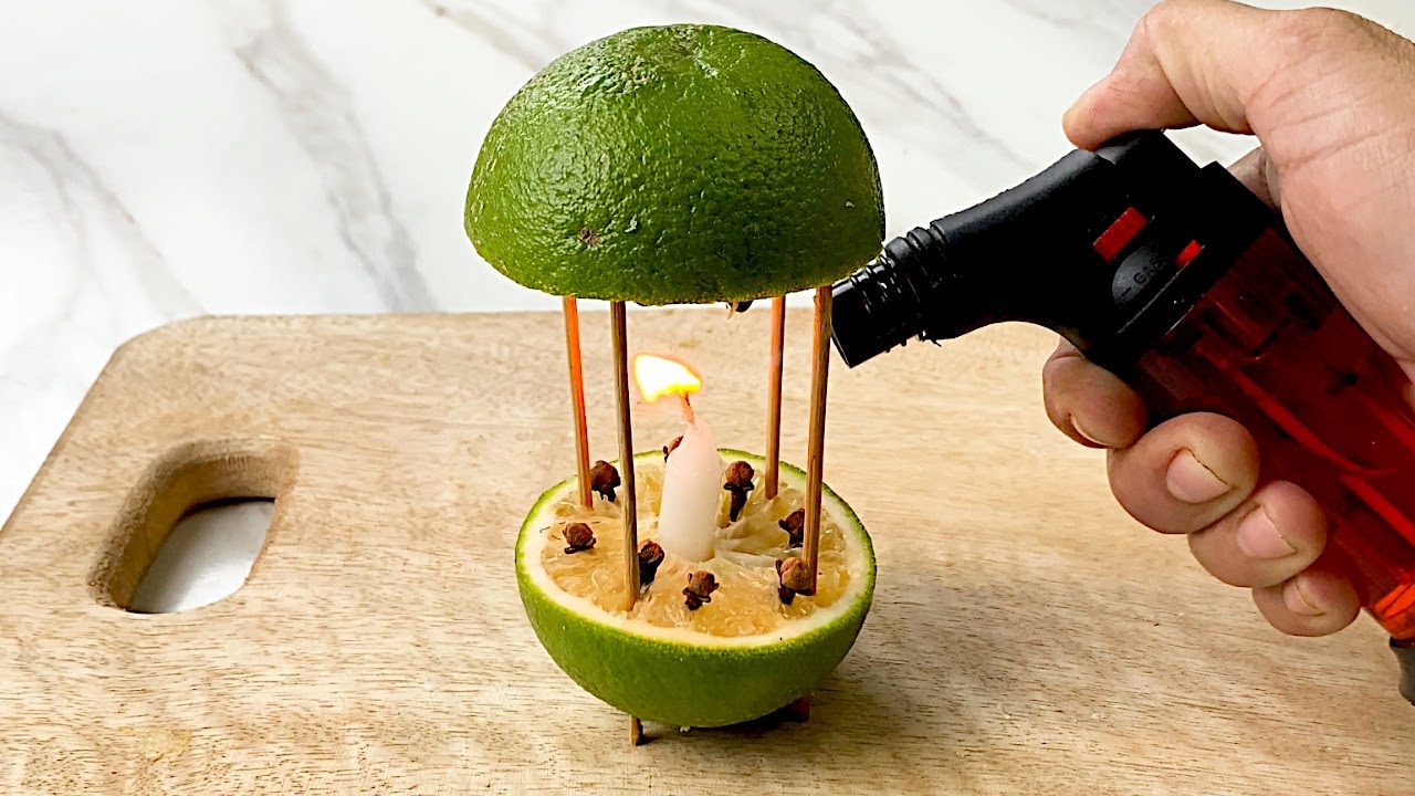 Put This in Your House, Bye Mosquitoes!