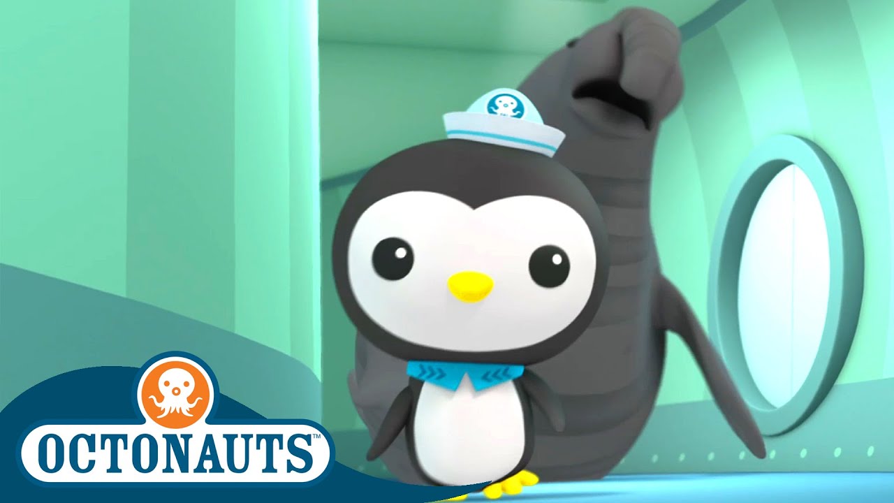 Octonauts - The Enormous Elephant Seal & Walrus Chief | Cartoons for Kids | Underwater Sea Education