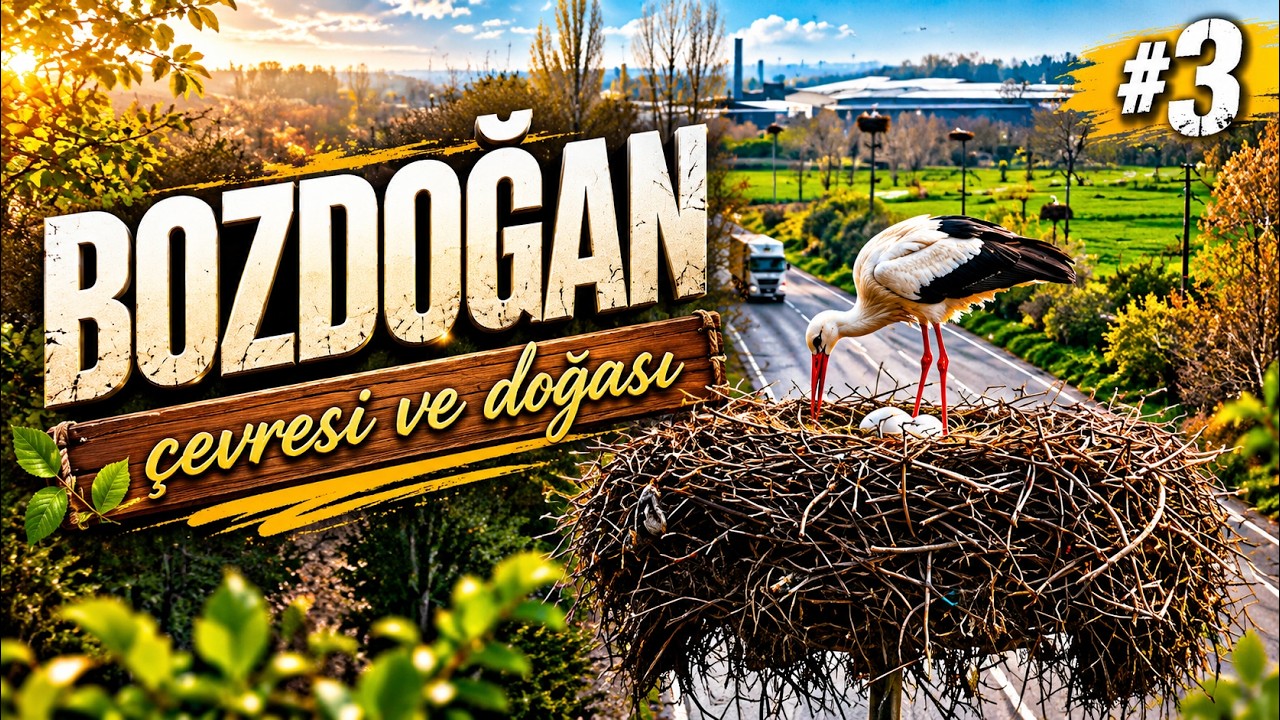 Bozdoğan / Aydın || Bölüm 3