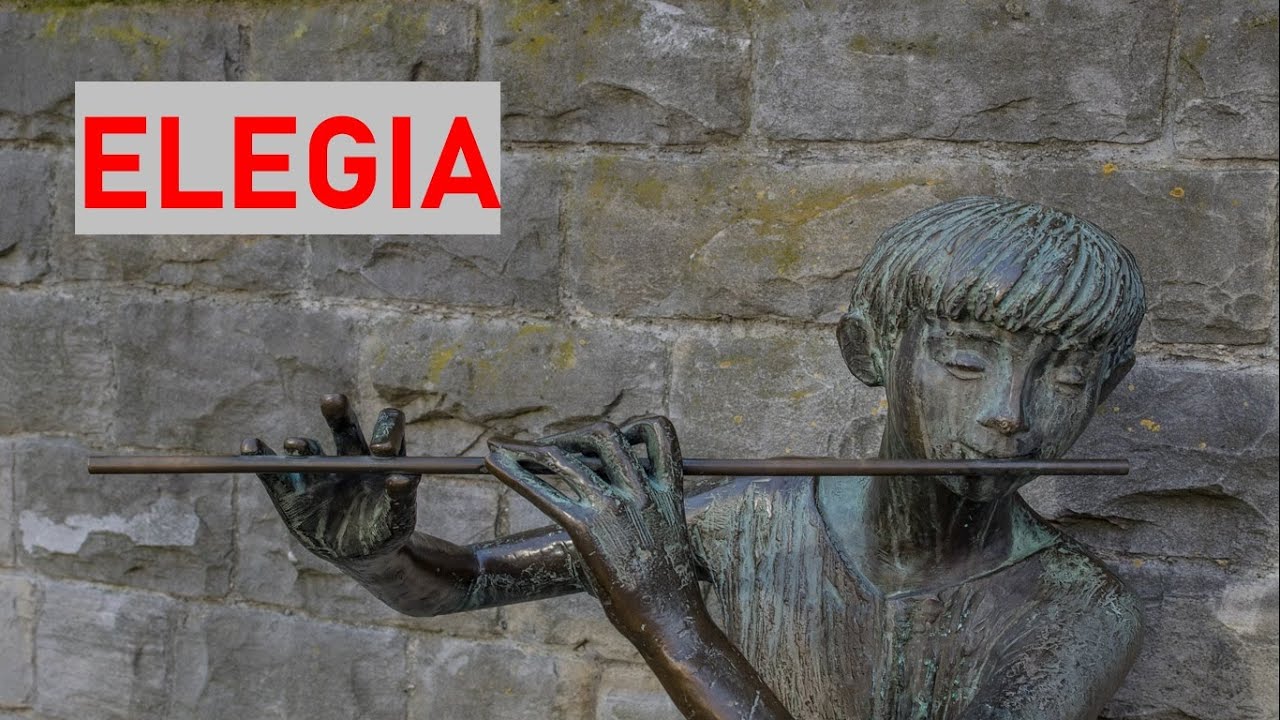 Elegia