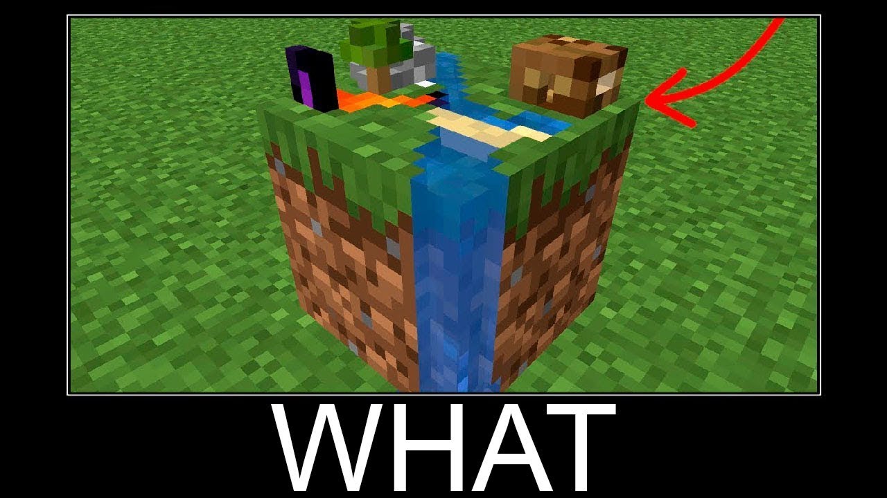 Minecraft WAIT WHAT #1713