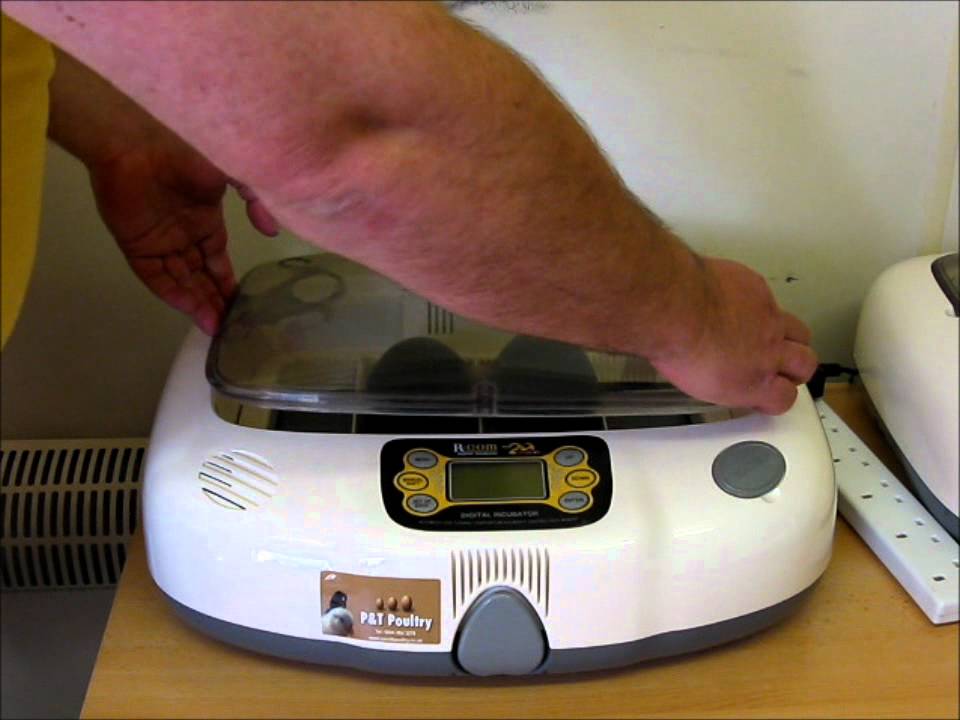 Incubation 1