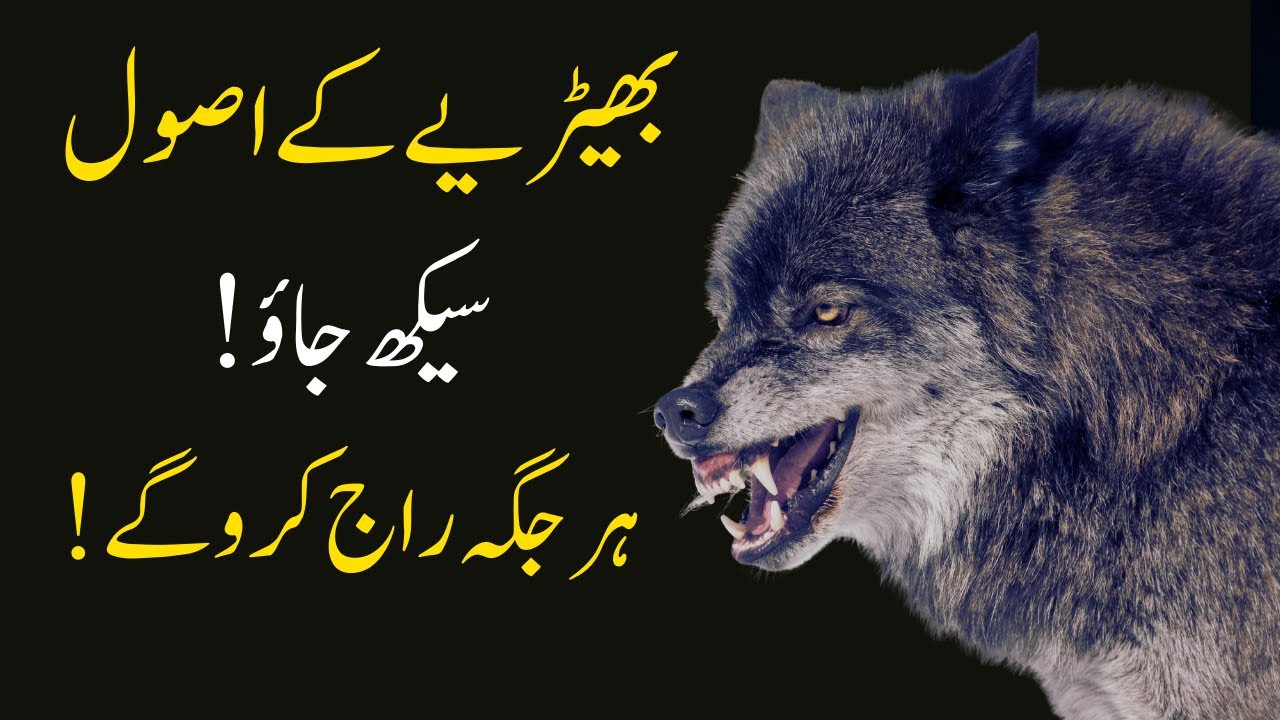 WOLF MENTALITY || 8 Rules Of Power Personality || How to Become Powerful Person