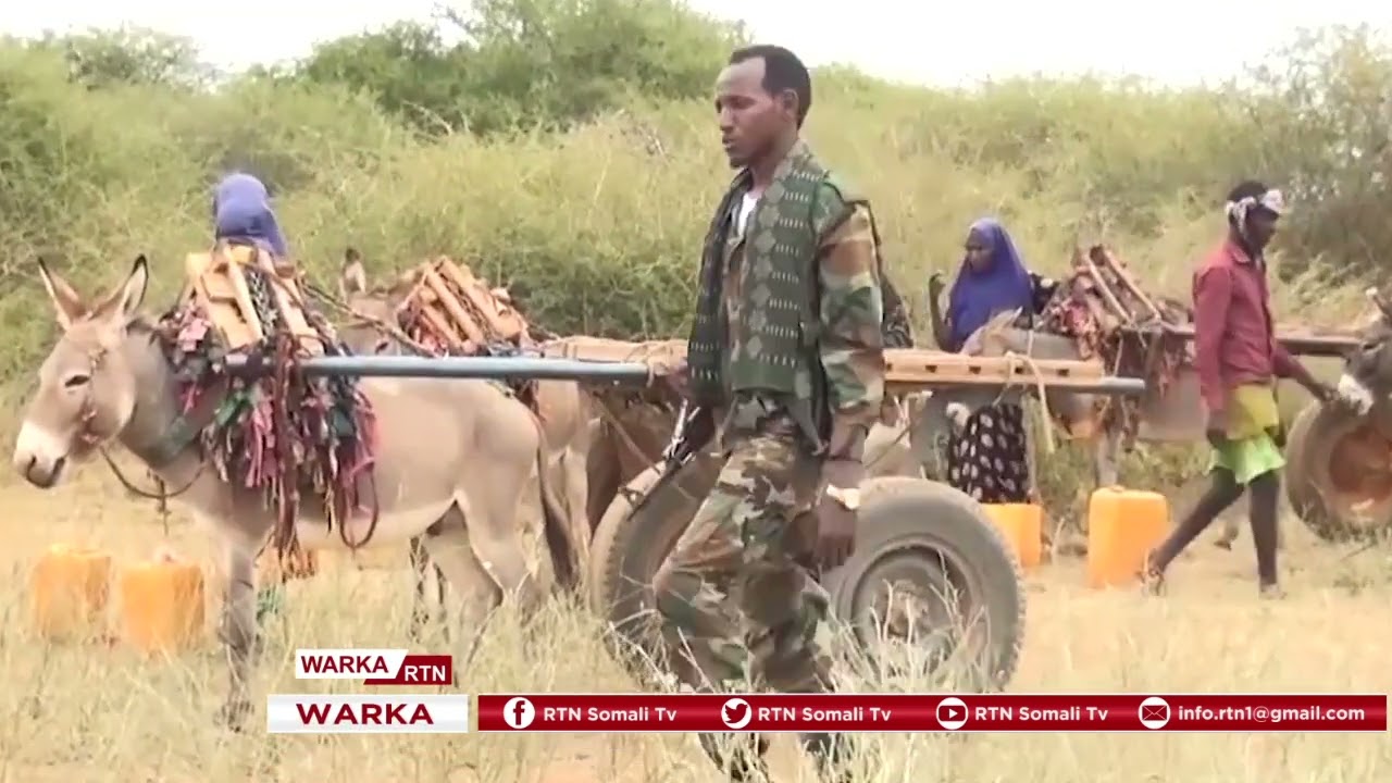Ciidanka Danab oo Howlgal ka sameeyay Duleedka Magaalada  Kismaayo Ee Maamulka Jubbaland.