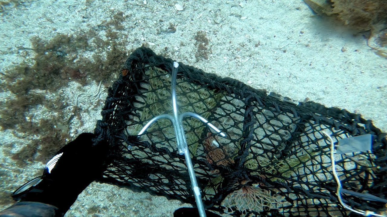 In The Moment [Ep. 2] Spearfishing Norway