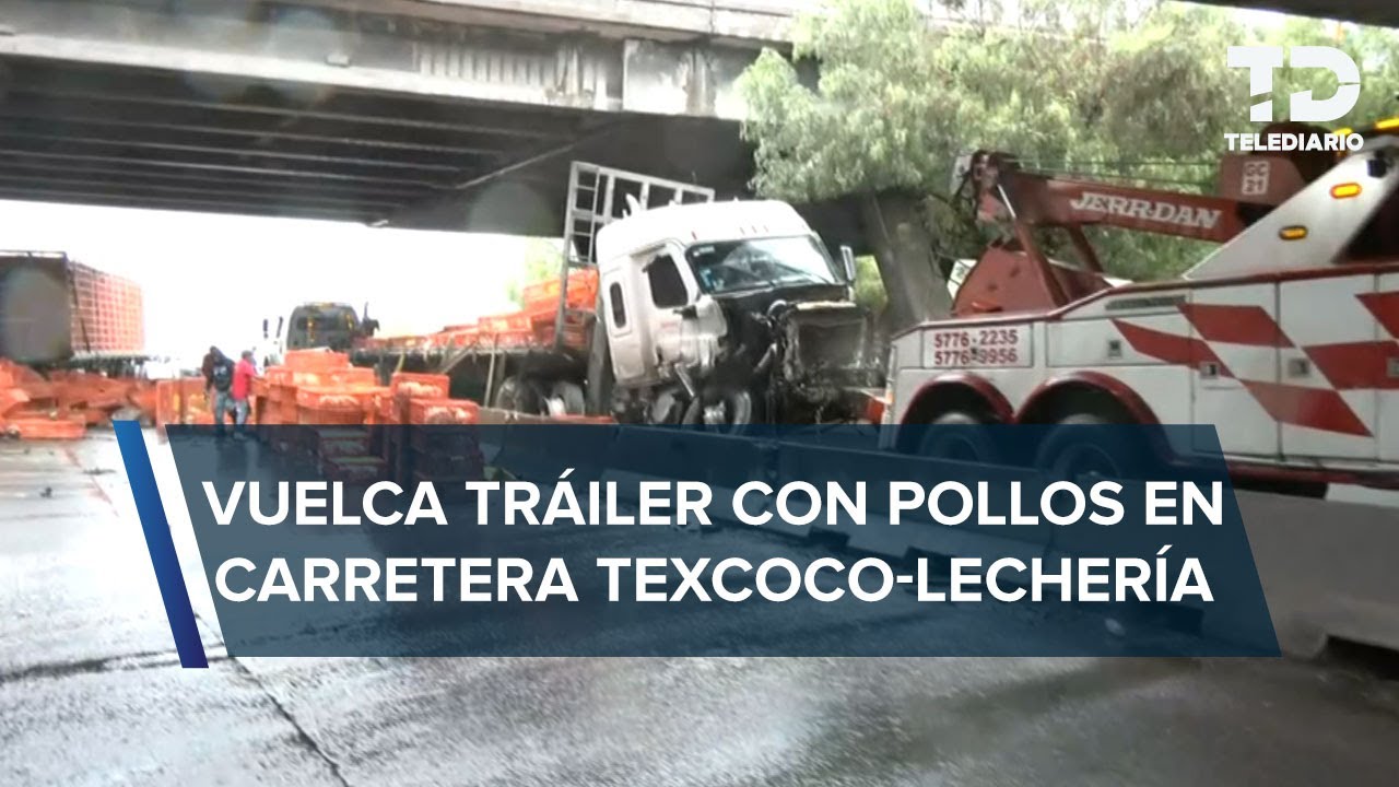 Pollos en la vía: Volcadura de tráiler genera caos vial en carretera Texcoco-Lechería