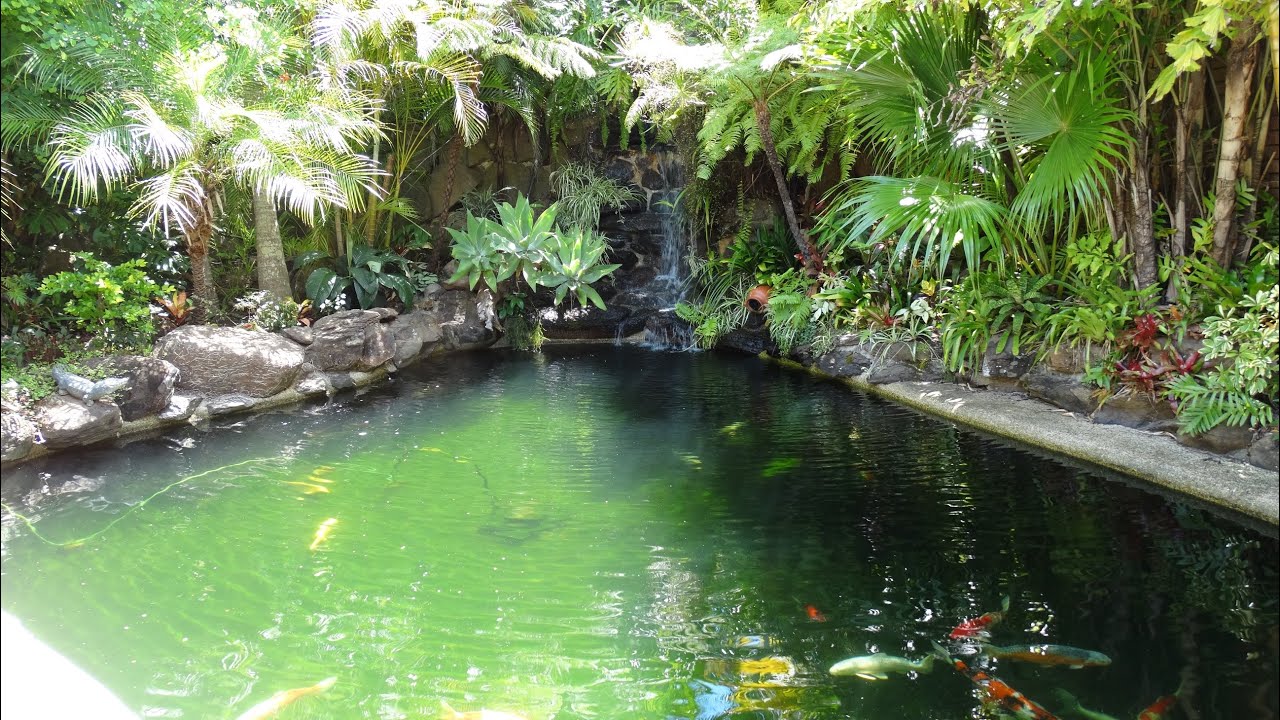 Landscaped koi pond