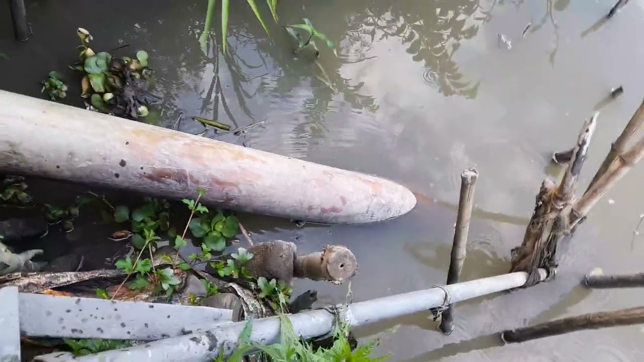 Chiếc động cơ điện hoạt động thế chỗ chiếc máy dầu hút nước sông lên ruộng