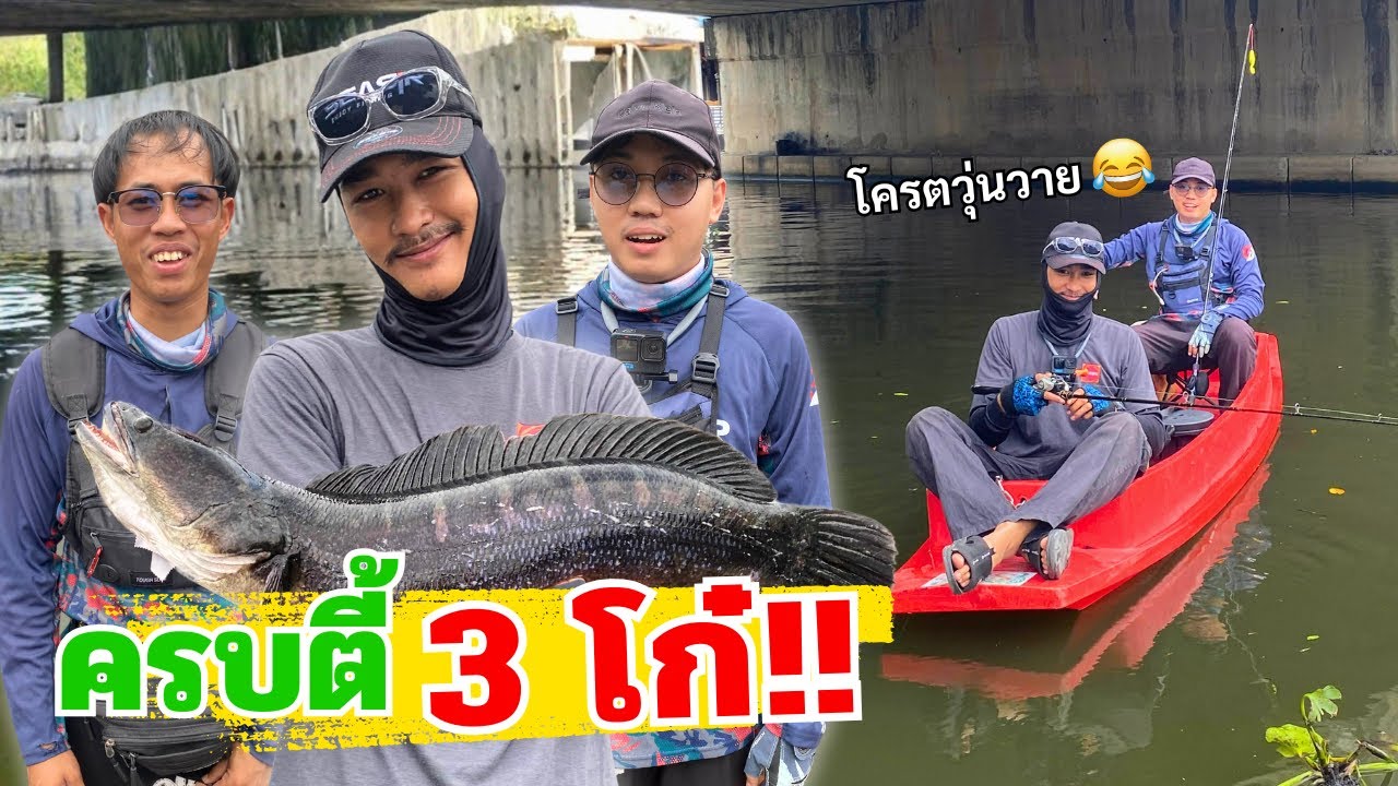 ตกปลาชะโด เเบบครบตี้ ตามหาชะโดตัวเเรกให้โก๋จิ๊บ!!