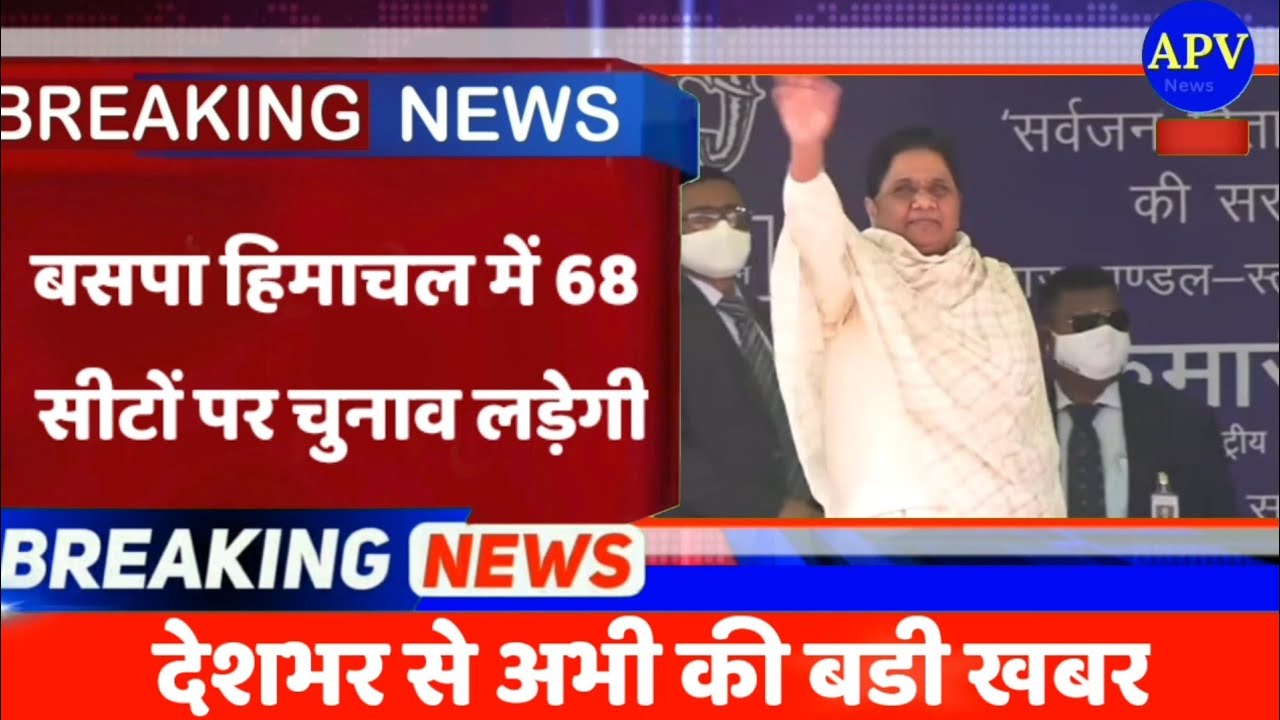 बसपा सुप्रीमो मायावती का ऐलान, हिमाचल में सभी सीटों पर लड़ेंगे चुनाव | Mayawati