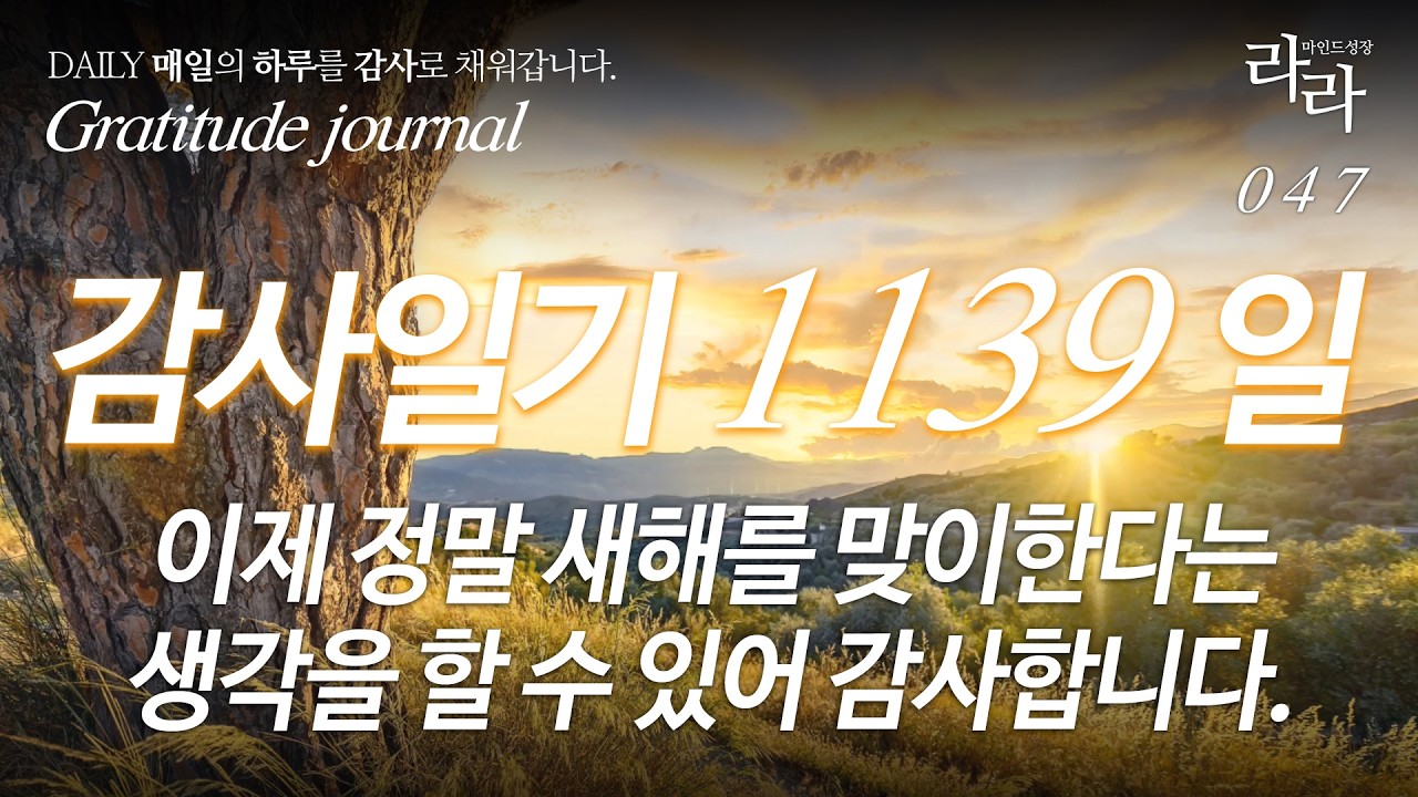 감사일기 1139일 | 이제 정말 새해를 맞이한다는 생각을 할 수 있어 감사합니다.#감사일기 #감사영상 #감사루틴 #하루10문장 #gratitudejournal