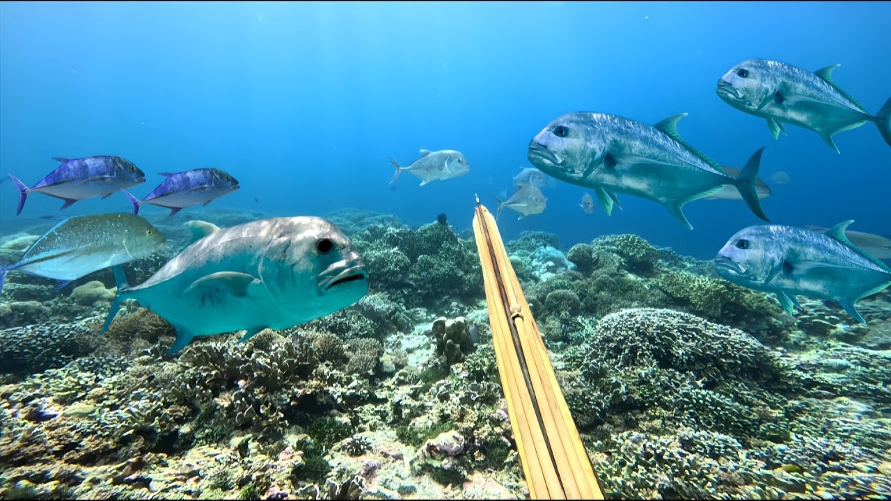 AYOLAH KAWANKU BURUAN NONTON INI BARU SPOT IKAN IKAN BABON DENGAN SATU KALI DOUBLE KILL 🔥💪🇮🇩