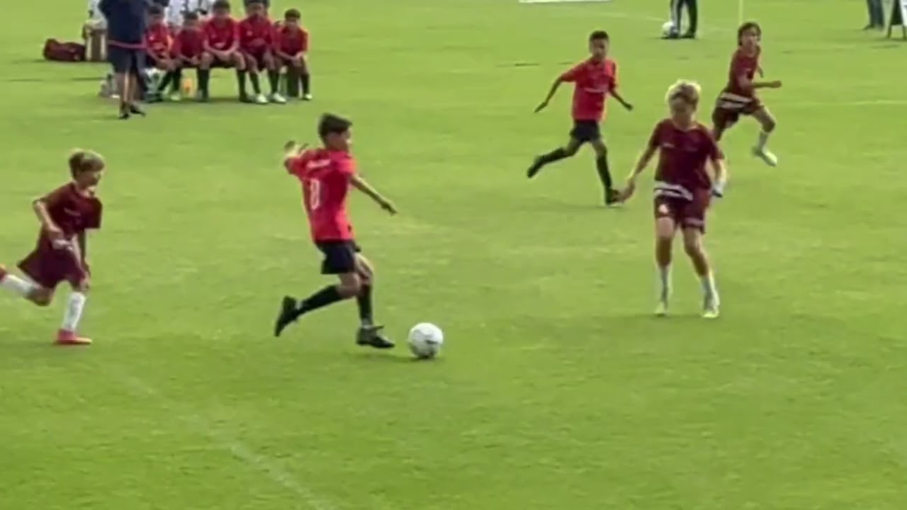 Taylor Olson 2013 Highlights 2026 Video