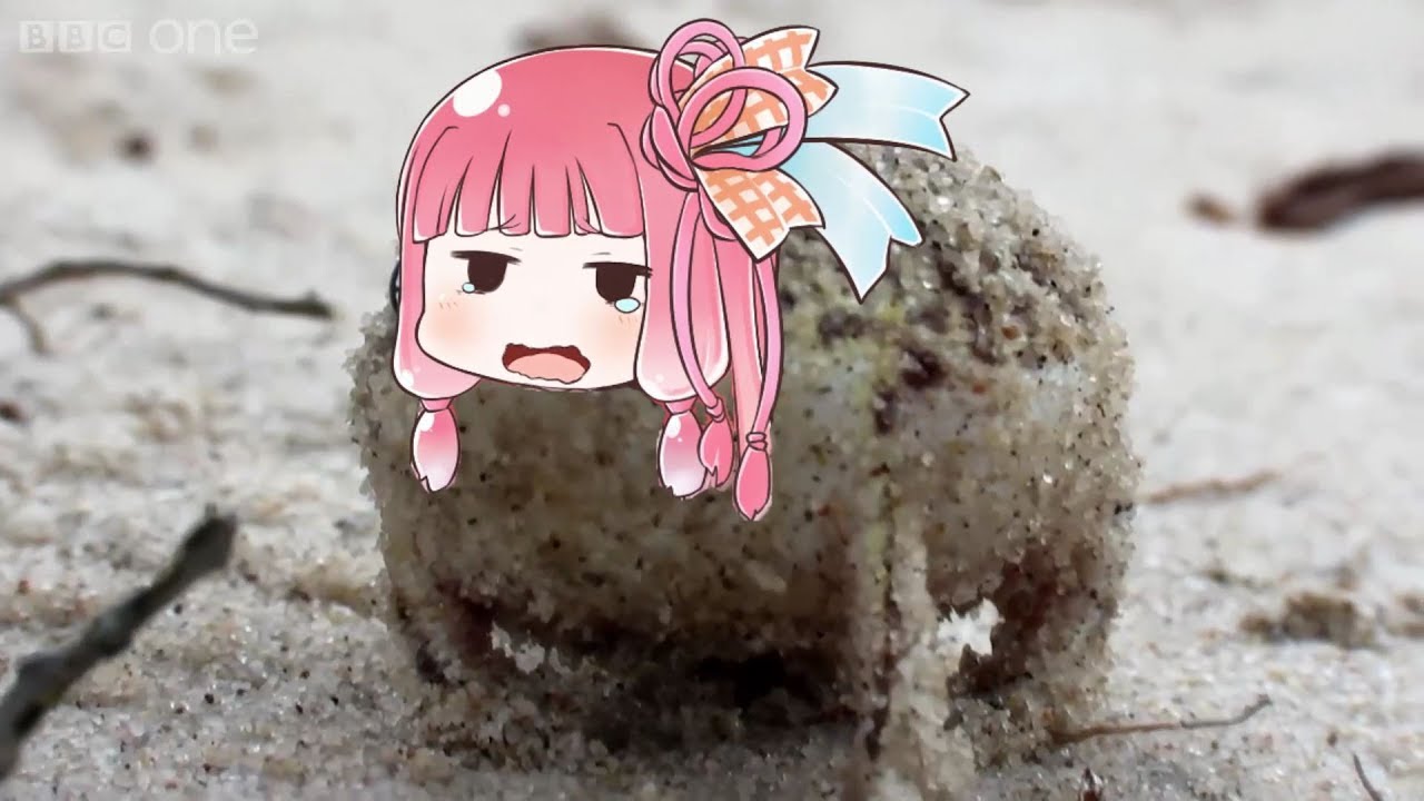 A very angry Kotonoha Akane