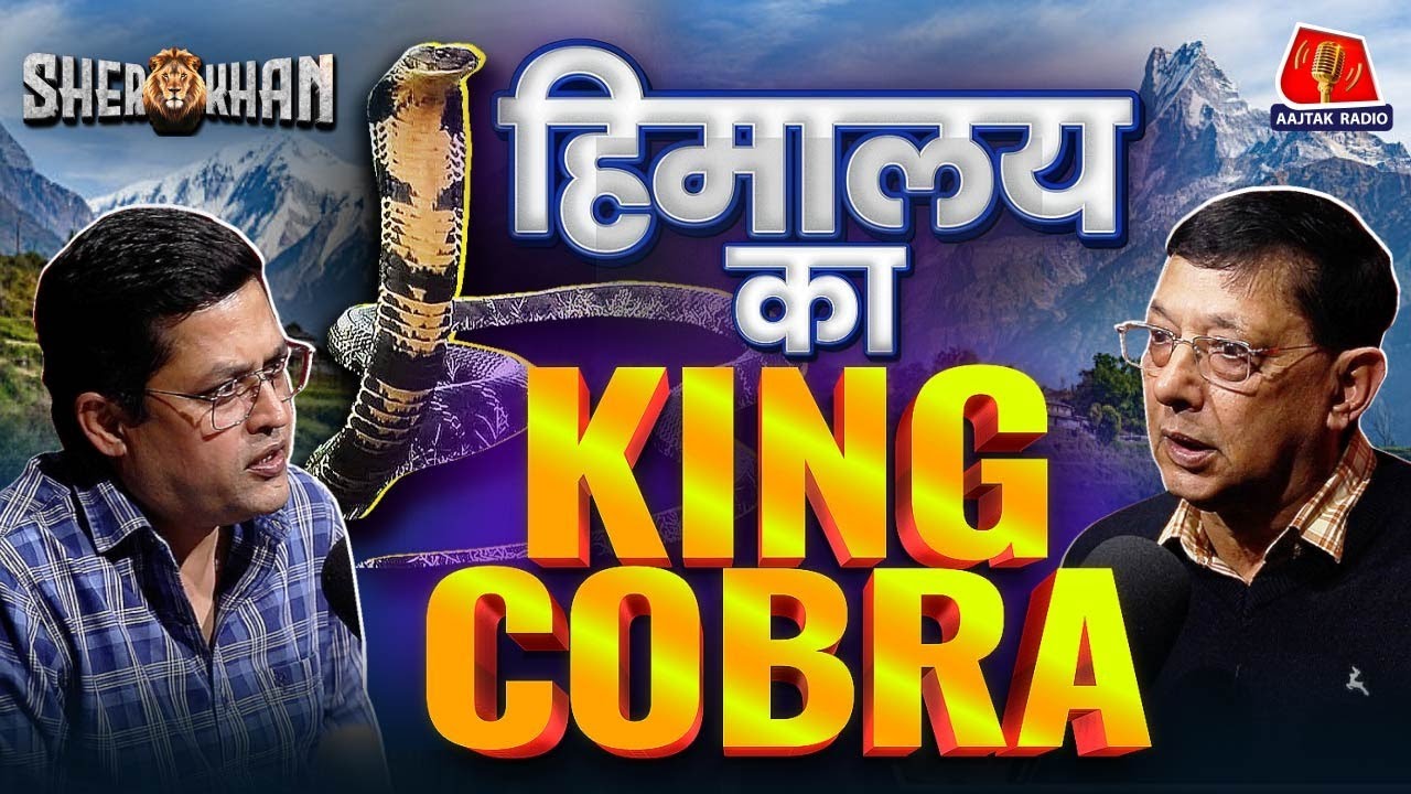 King Cobra, Tom Alter साहब पर बात Suri Sahab के साथ: Sherkhan Ep 30 | Jungle Stories | Hindi Podcast