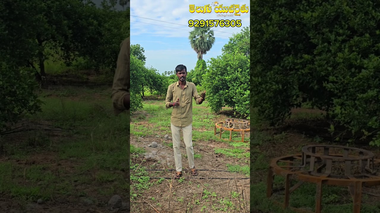 🌱 What is soil pH? | Soil pH Importance in Farming | Telugu Agriculture Tips