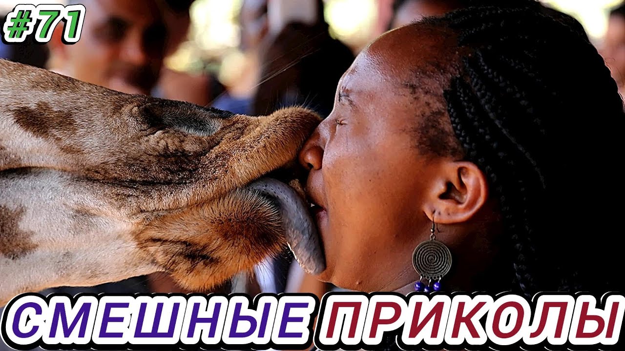 САМЫЕ НОВЫЕ ПРИКОЛЫ 2024 РЖАЛ ДО СЛЕЗ 😂 24 Минуты  ОТБОРНЫХ Русских видеo приколов ИЮЛЬ 2024  #71