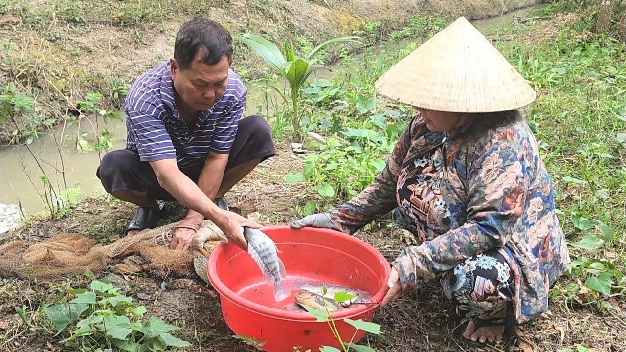 Tranh Thủ Bữa Cơm Trưa Trong Những Ngày Giáp Tết Canh Cá Rau Vườn Cũng Cảm Thấy Ngon | BQCM & Family