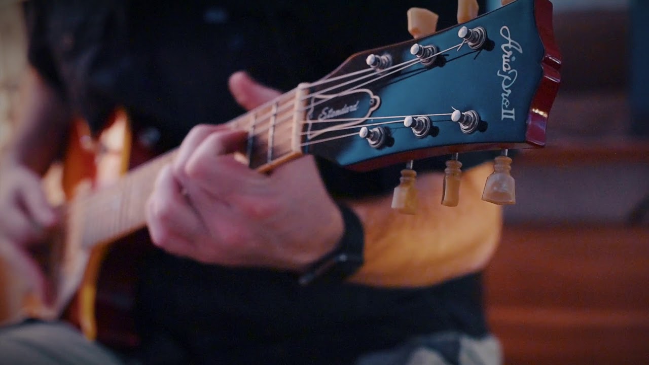 Amatory - Черно-Белые Дни [guitar cover]