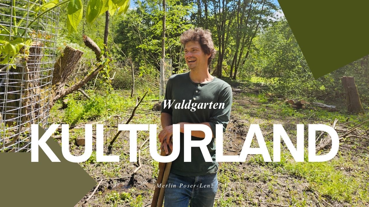 Merlin zaubert #Nahrungsw&auml;lder - #Nuss-SoLaWi - so kannst du Teil davon sein  - mit #Kulturland