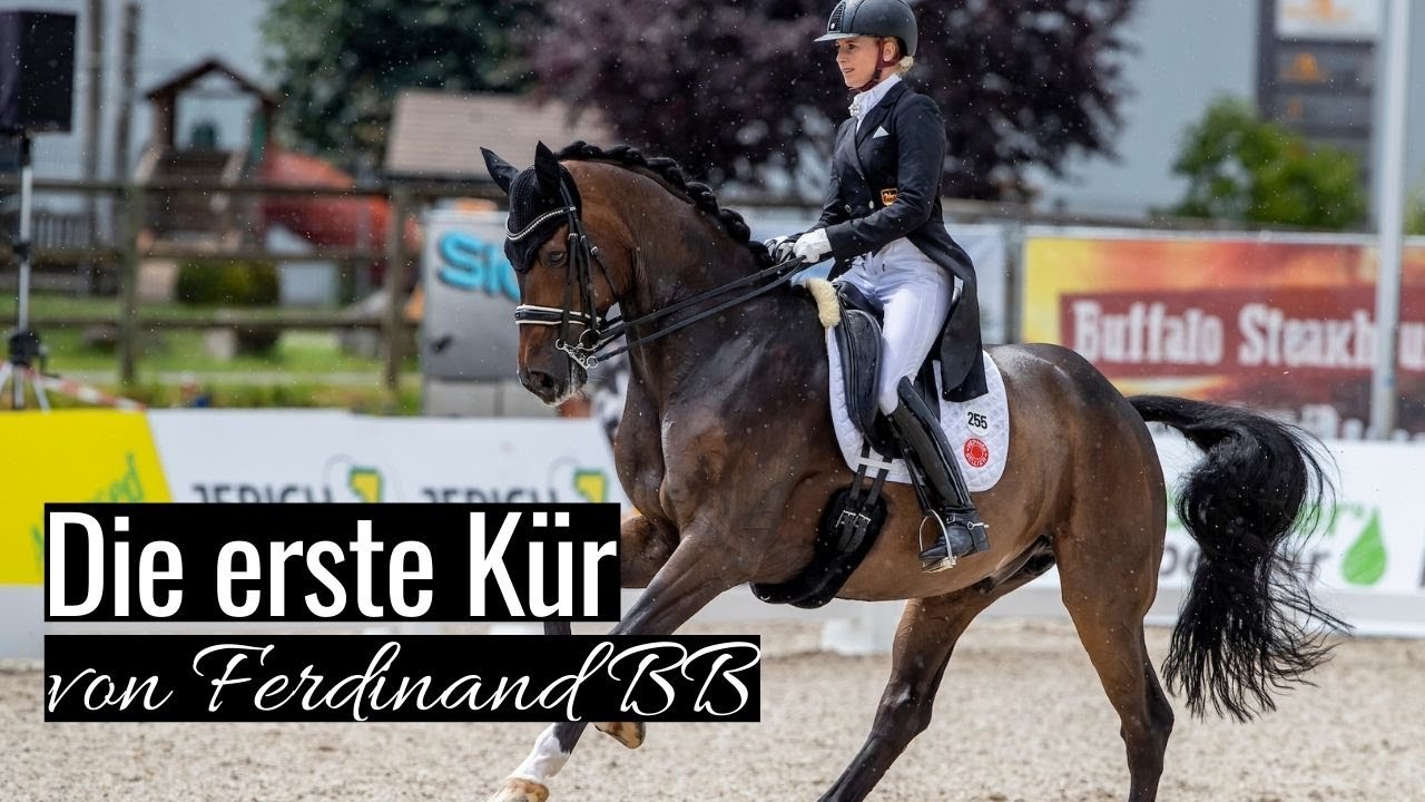 Ferdinand BB in seiner ersten Kür 💕 | mit Jessica von Bredow-Werndl | Wiesnturnier München