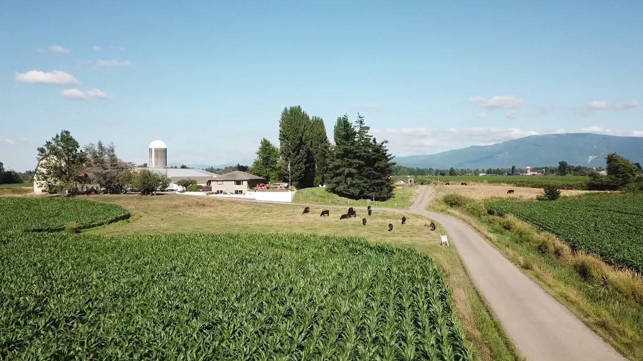 The Farmstead