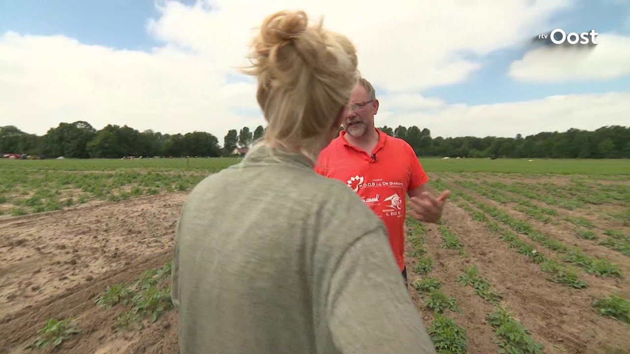 Expeditie Oost. Corsobouwers St. Jansklooster blij met iets latere temperatuur en beetje regen