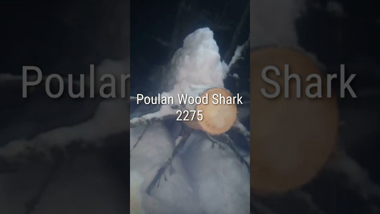 Ported saws. Poulan Wood Shark vs Al-ko bks 35 vs Jonsered 2051 turbo