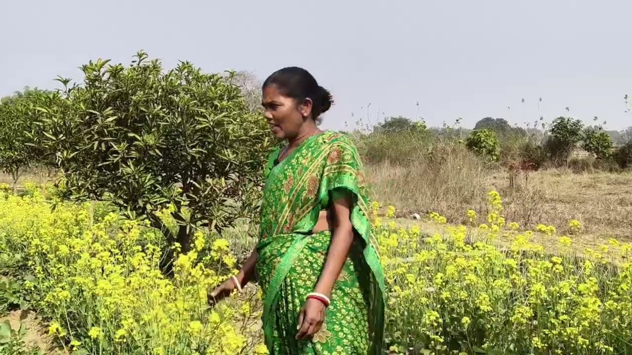 जाड़ों सहिया नींदों नहीं लागे # Jado sahiya nindo nahi Lage # Marrage song for oraon tribal culture 