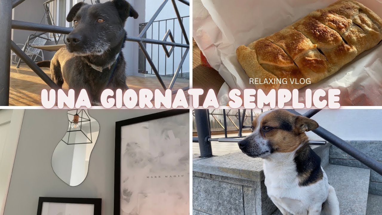 RINNOVO UN ANGOLINO DI CASA🪞UN DOLCE REGALO 🥧COCCOLE AI MIEI ANIMALI 🐶 relaxing vlog