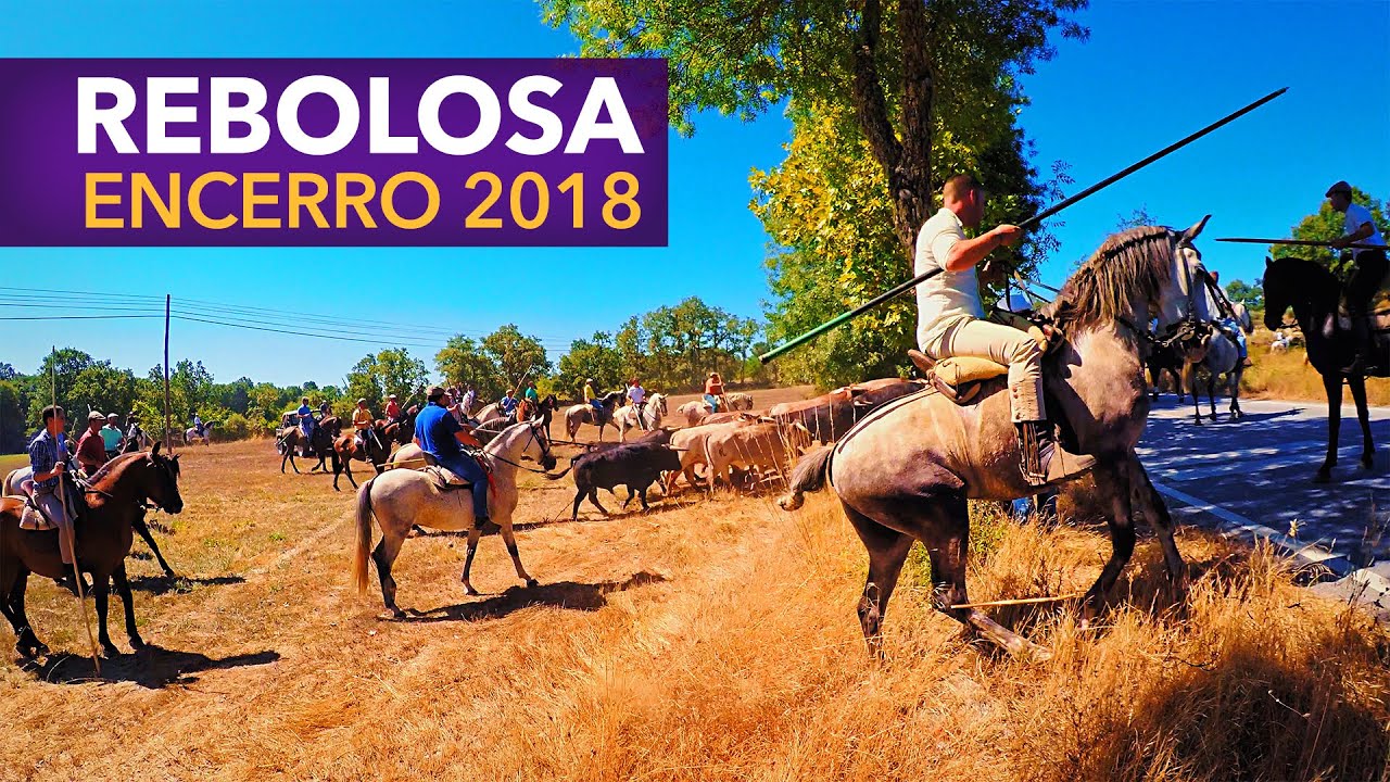 Rebolosa Encerro de Toiros 2018