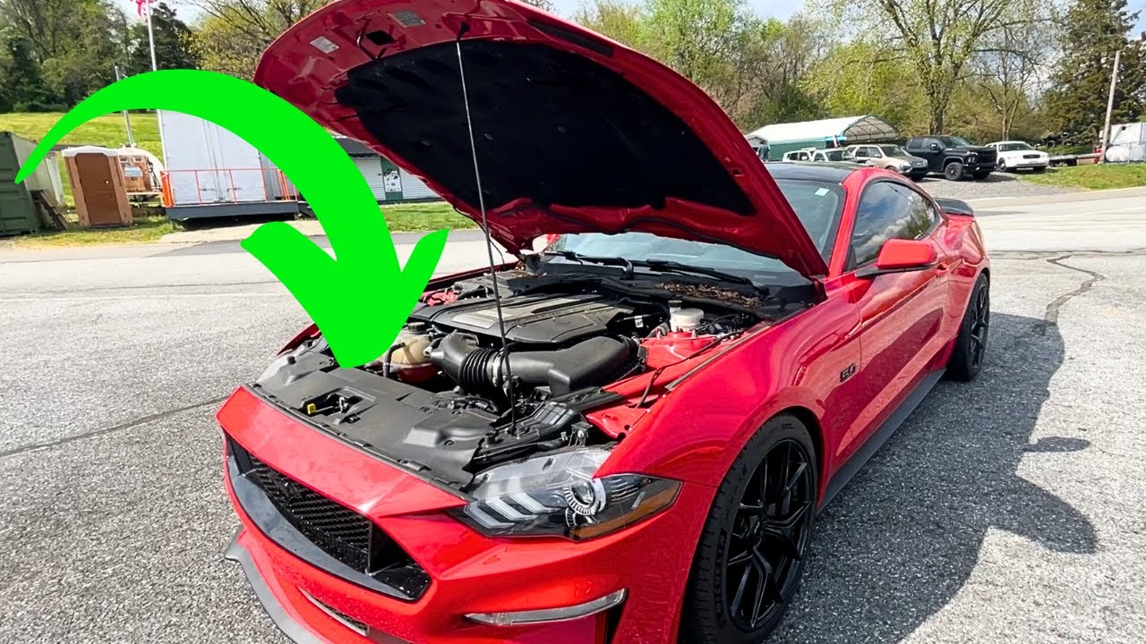 Watch This BEFORE You TUNE Your MUSTANG GT!