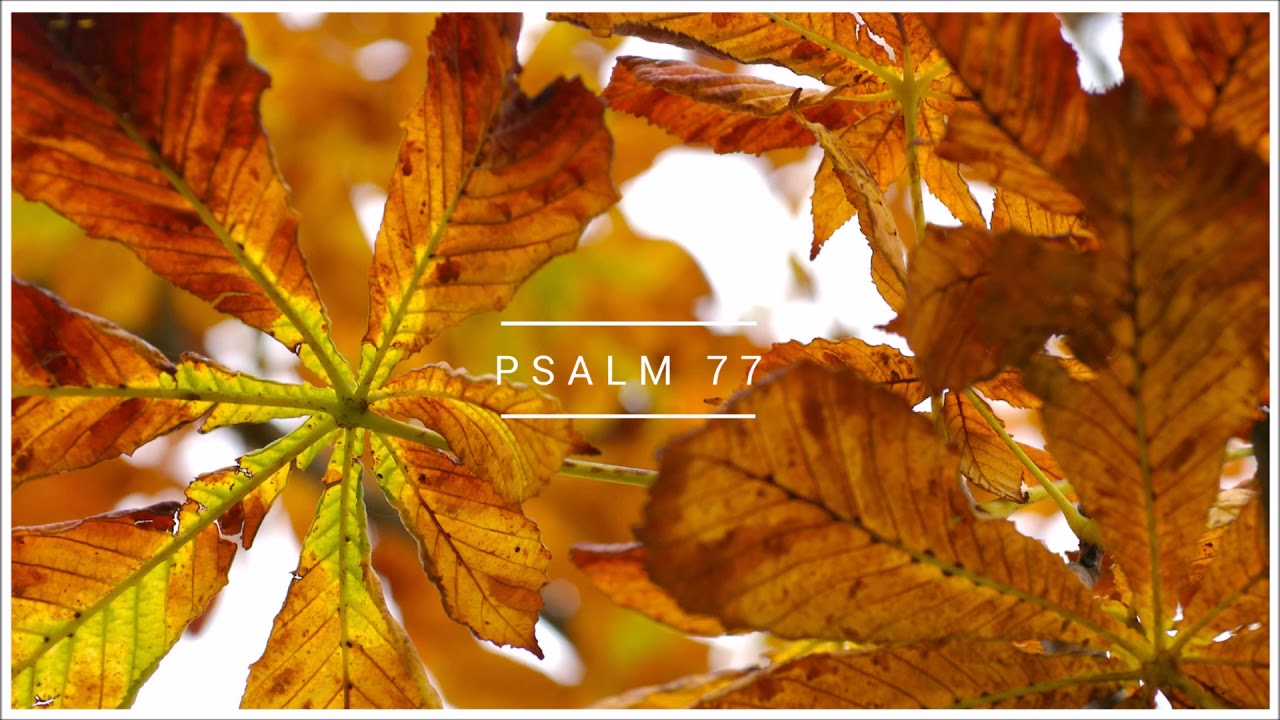 Psalm 77 Biblia warszawska