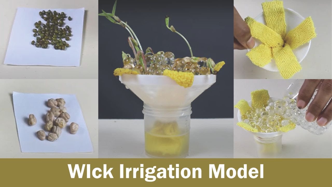 Wick Irrigation Model | DIY Science | ThinkTac