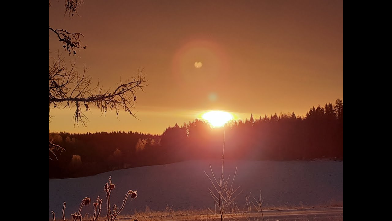 Soita sinun sisäistä soittorasiaa 💖🎼🎵🎶🎶