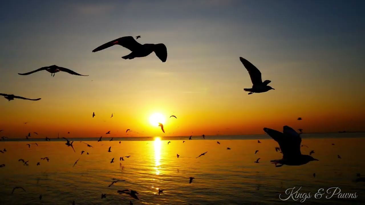 वेनिस में सुकून देने वाला म्यूज़िक 🎧 सिंगल ट्रैक — सुंदर बांसुरी और सूर्यास्त