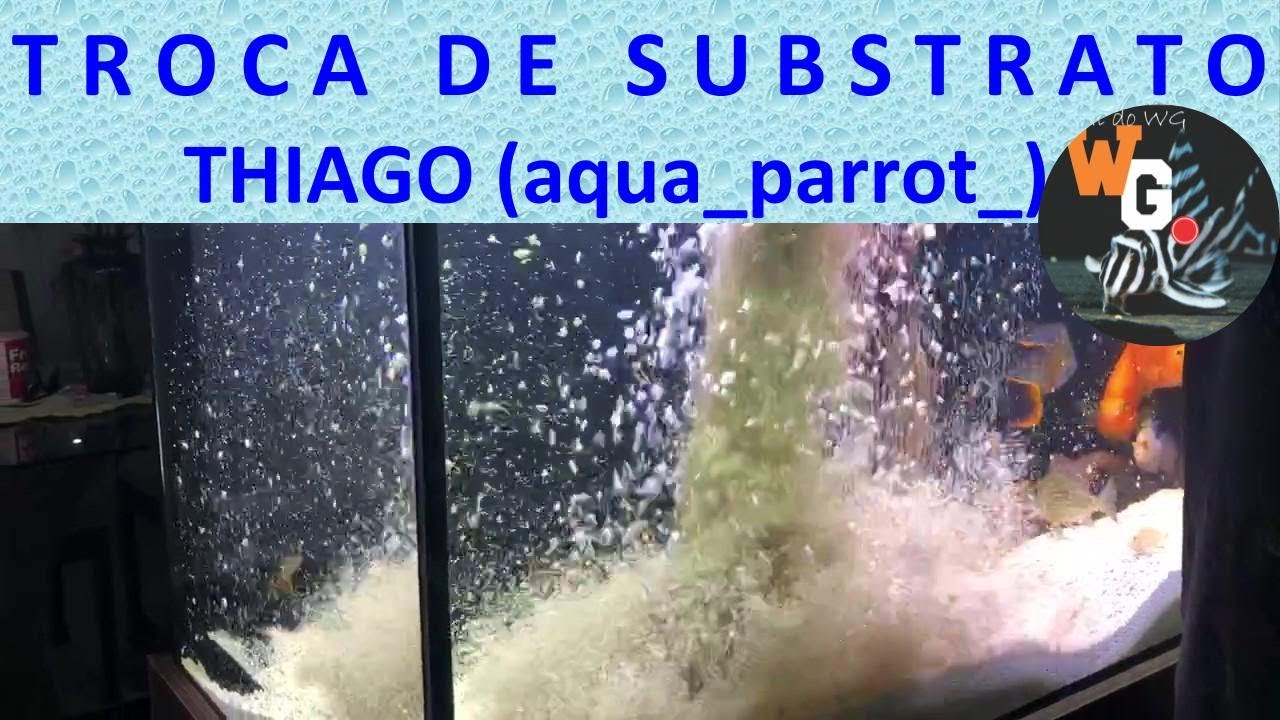 Troca do substrato do nosso amigo Thiago Araújo (@aqua_parrot_)