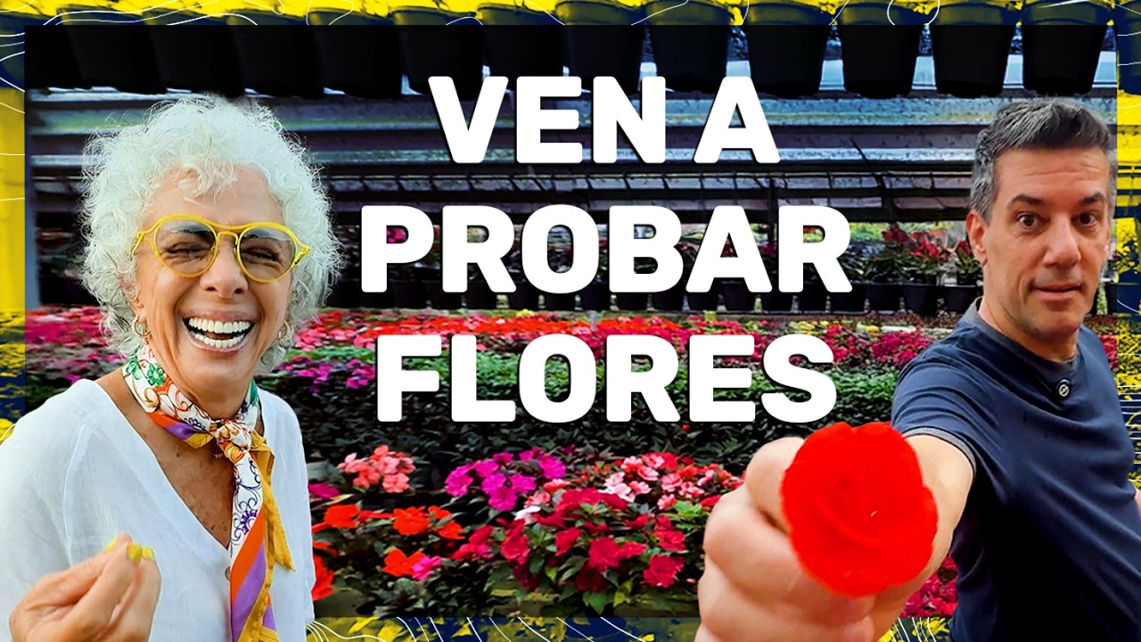 VISITÉ UN VIVERO QUE SE COME ¡IMPRESIONANTE! 😱🌸 Valen de Viaje